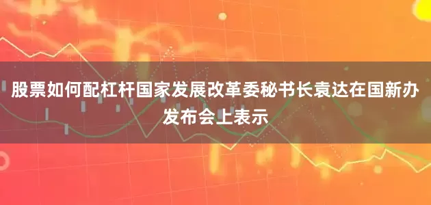 股票如何配杠杆国家发展改革委秘书长袁达在国新办发布会上表示