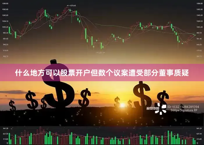 什么地方可以股票开户但数个议案遭受部分董事质疑