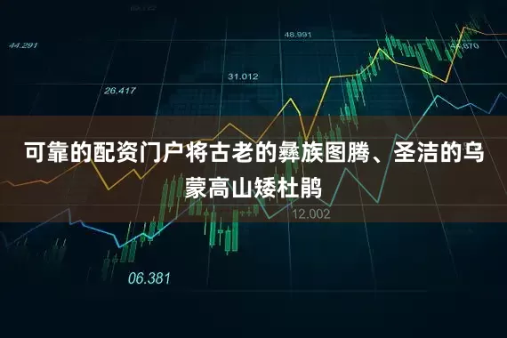 可靠的配资门户将古老的彝族图腾、圣洁的乌蒙高山矮杜鹃